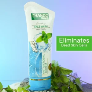 Chando Naturals Foaming Face Wash Mint Cool