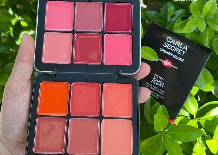12 in 1 Creamy Blush Lipstick Palette - Image 4